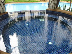 Casablanca (D25), Condominium #64283482